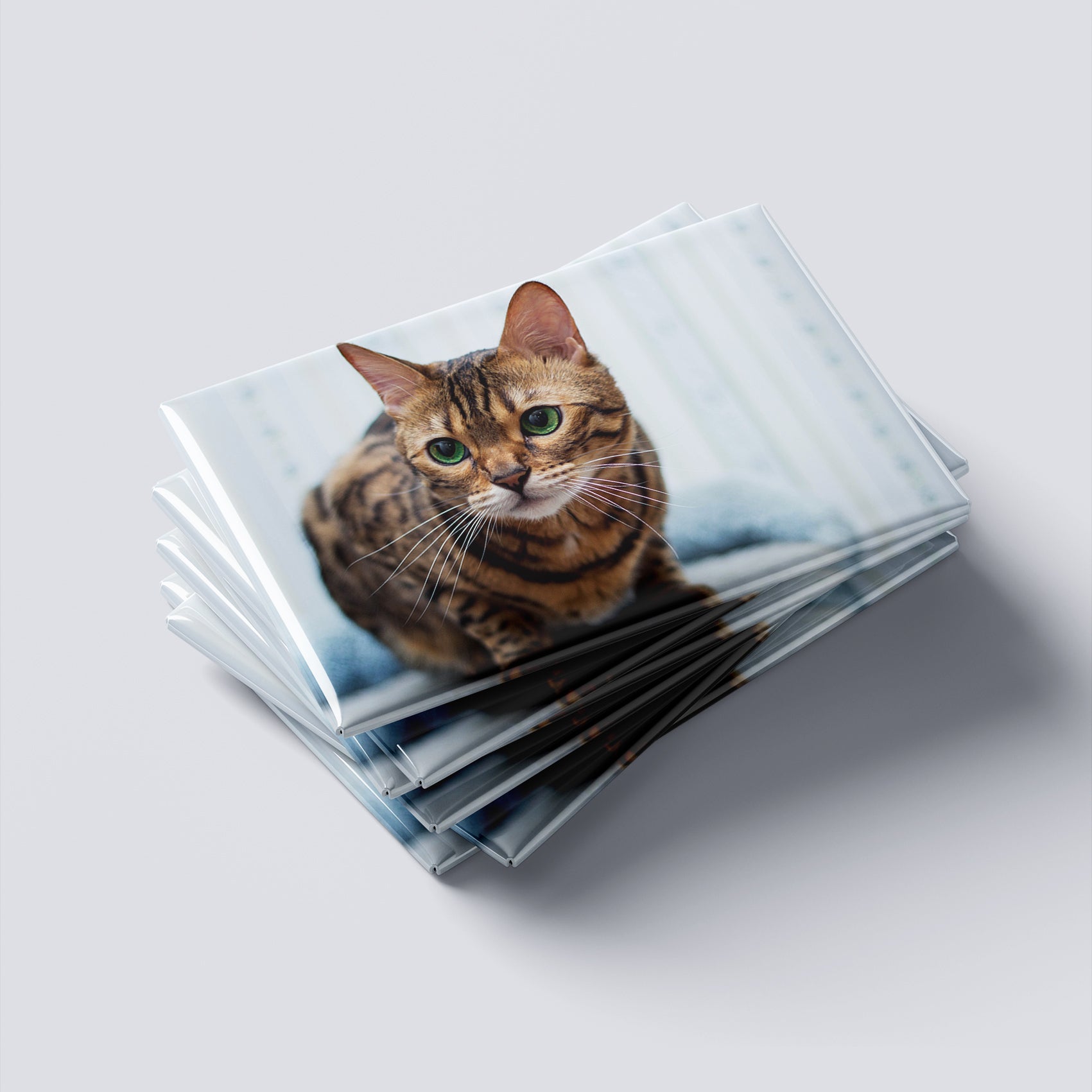 Magneți foto personalizați, set 8buc - Pisică Bengaleză
