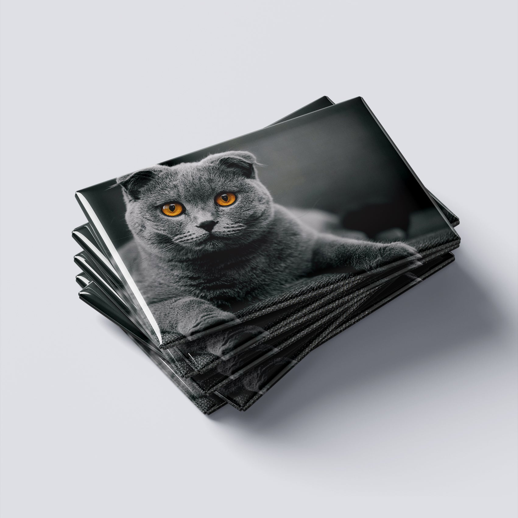 Animale de companie